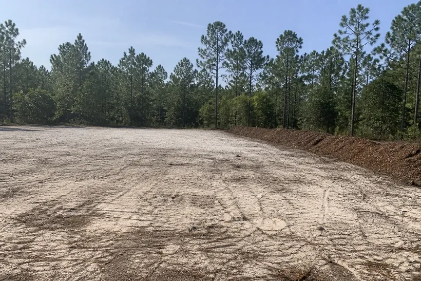 Freshly cleared sandy homesite pad with a mulch berm and pine treeline